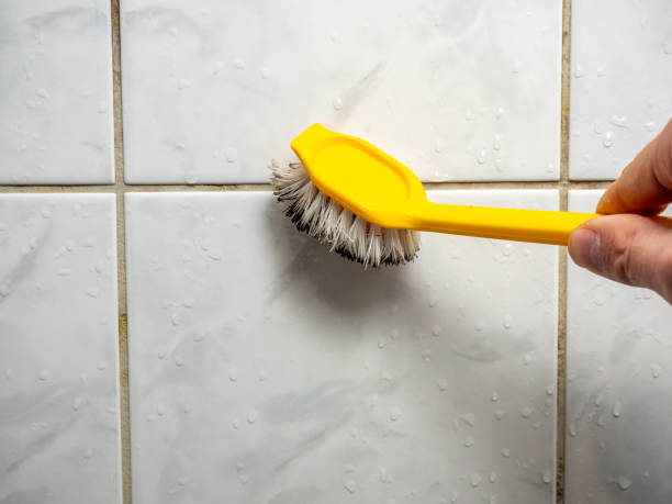 Best Mold Remediation  in Augusta, KS
