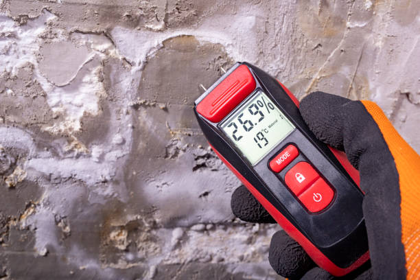 Best Affordable Mold Removal  in Augusta, KS