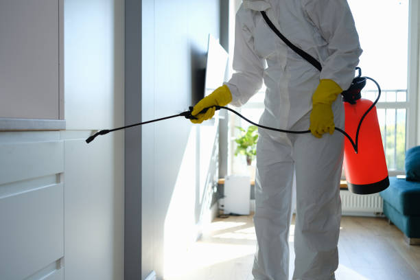 Best Mold Testing  in Augusta, KS