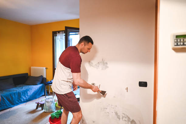 Best Mold Removal Company Near Me  in Augusta, KS