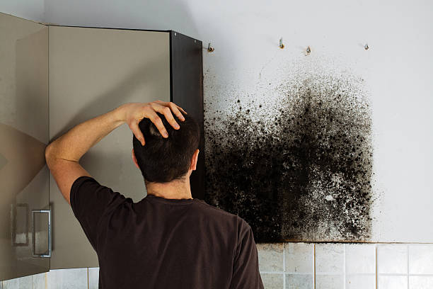 Best Emergency Mold Removal  in Augusta, KS